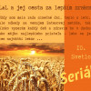 10. Svetlo